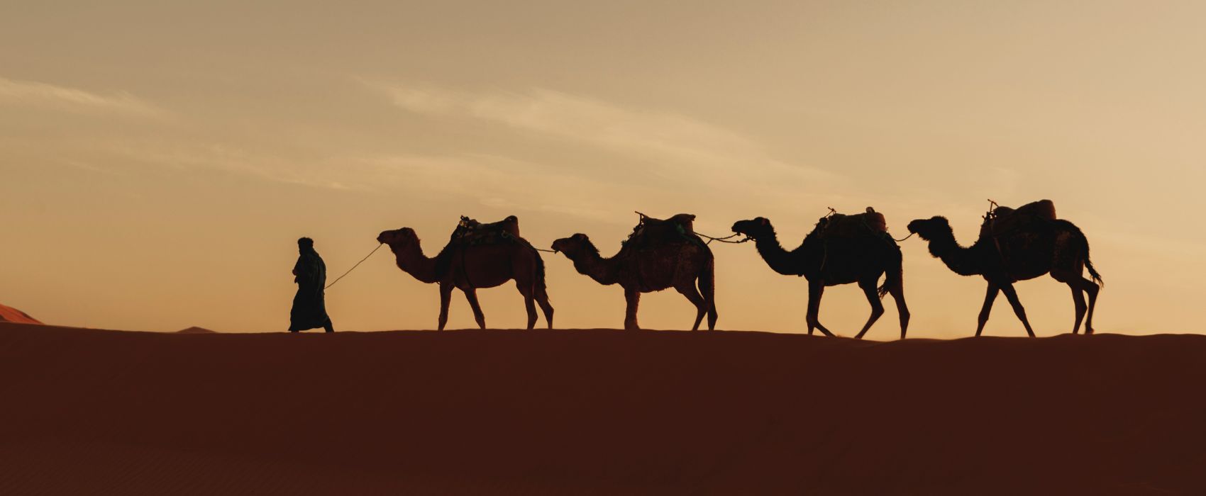camel ride in dubai
